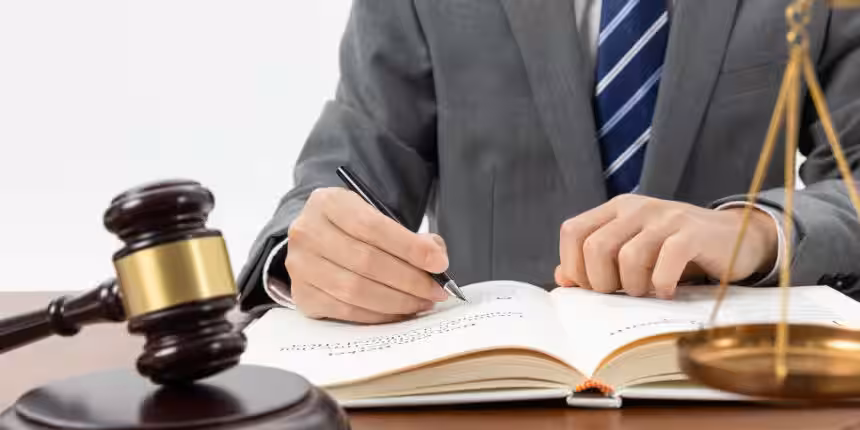 Professional Lawyer